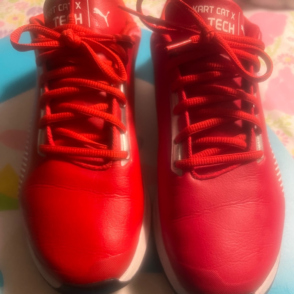 Puma Ferreri shoes